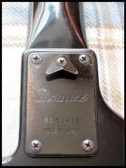 Ibanez_7.jpg