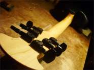 Ovation Bariton-4.jpg