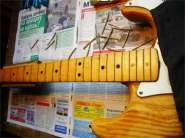 F.strat73-4.jpg
