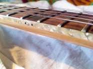 IMG322.jpg