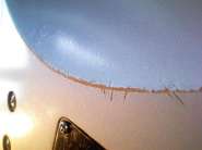 IMG342.jpg