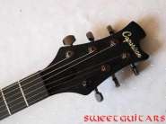caparison,head.jpg
