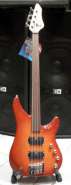 VE4ECFW Excess Bass fretless - front.jpg