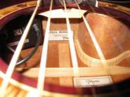 GIBSON CS 035.jpg
