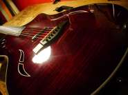 Taylor T5-S-1-10.jpg