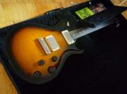 PRS Singlecut 3.jpg