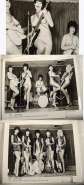 ladybirds_archive 1.jpg