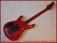 washburn_ks100_chicago_series_9.jpg