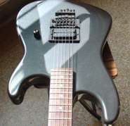 SD Gray 5.jpg