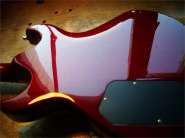 F. Robben Ford_84-5.jpg