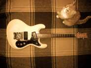 Morales Mosrite 60s 1.jpg