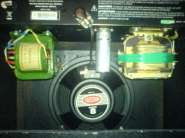 DSC00204.jpg
