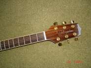 takamine 05.jpg