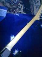 13102010262.jpg