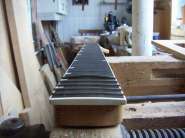 ����������� 445.jpg