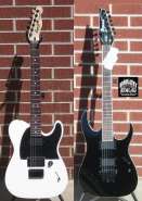 Squier� by Fender� Jim Root Telecaster�, Rosewood Fretboard, Flat White 2012 6-String Electric Guitar.jpg