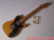 Fender TL Deluxe_2.jpg
