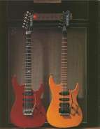 cat_1992hamer_page_12.jpg