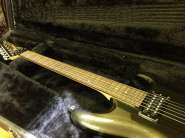 Ibanez (3).jpg