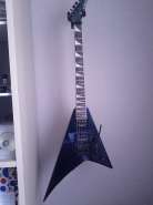 IMG_20120605_135450.jpg