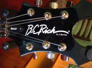 BCRICH BEAST %.jpg