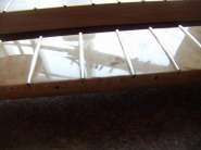 ����������� 169.jpg