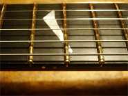 Hamer �����-15.jpg