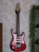 Custom Made ShEMG81 001.jpg