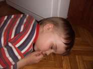 ����������� 270.jpg