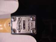 dsc05606.jpg
