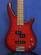 FERNANDES 003.jpg