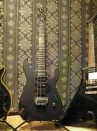 Caparison_DeLinger.jpg