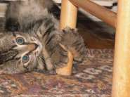 Resized PICT0043.jpg