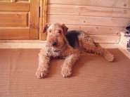 HPIM2132 [800x600].JPG