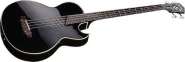 washburn-ab10-acoustic-bass-1658-p.jpg