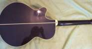 takamine b.jpg