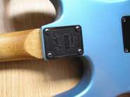 BCRich Gunslinger neckplate.jpg