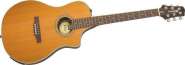 line 6 variax acoustic.jpg