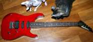 IMG_1608.jpg