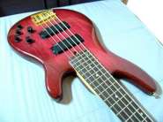 bass1.jpg
