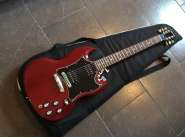gibsonsg.jpg