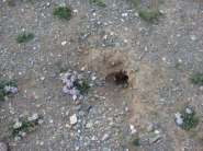 ����� �� �������.jpg