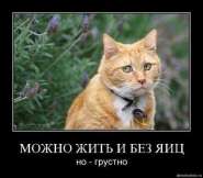�����.jpg