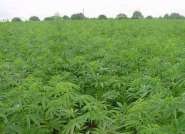 ���� �������.jpg