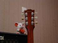 DSC02812.jpg