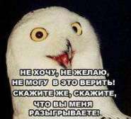 1253738397697s.jpg