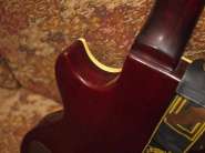 P1140118 (Large).jpg