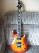 caparison 004.jpg