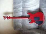 caparison 005.jpg