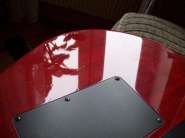 caparison 007.jpg